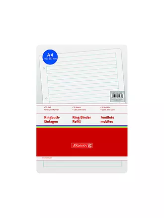 BRUNNEN VERLAG | Hojas de recambio para archivador de anillas, rayadas, 50 hojas con marco |